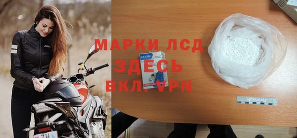 прущие грибы Каменка