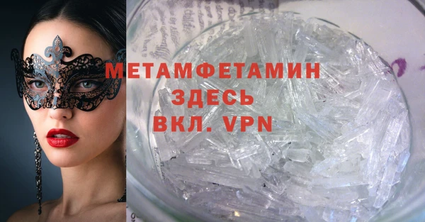 прущие грибы Каменка