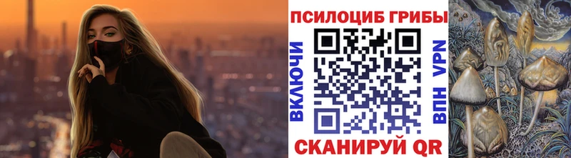 наркота  Княгинино  Псилоцибиновые грибы Psilocybine cubensis 
